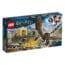 LEGO Harry Potter 75946 Ungarischer Hornschwanz