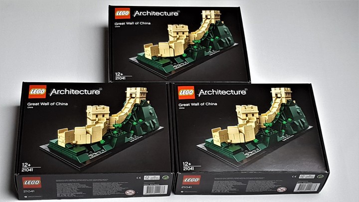 LEGO 21041 Review