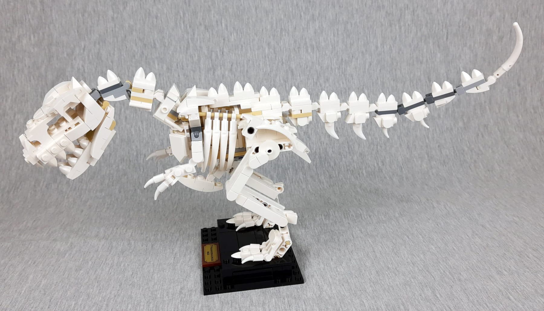 LEGO Ideas 21320 Dinosaurier Fossilien: Tyrannosaurus Rex