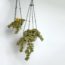 LEGO Ideas Hanging Flowers (1)