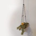 LEGO Ideas Hanging Flowers (2)
