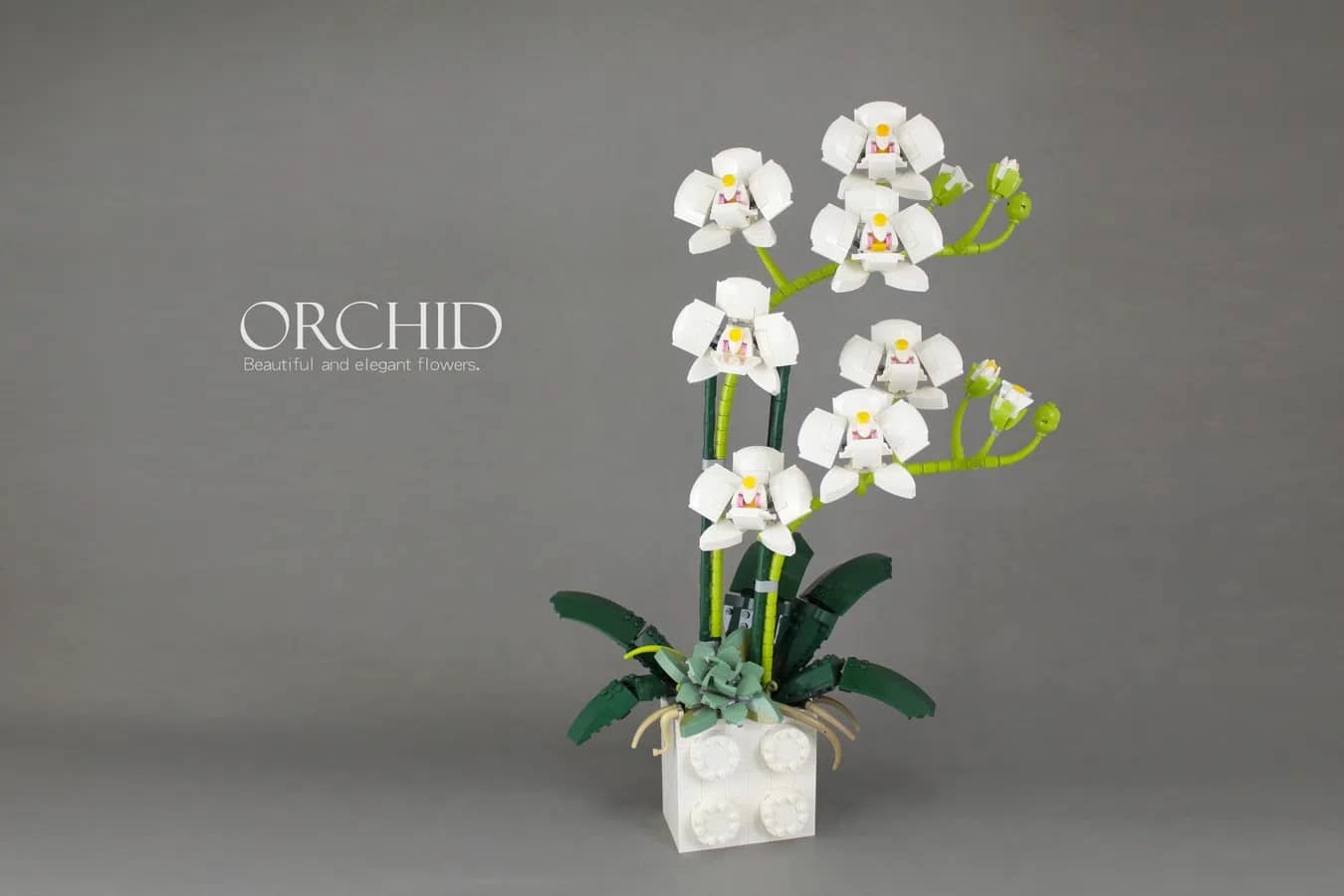 10.000 Fans wählen Orchideen ins LEGO Ideas-Review