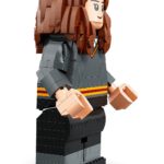 LEGO Harry Potter 76393 Harry Potter & Hermine Granger 11