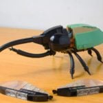 LEGO Ideas LEGO Insects (4)