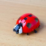 LEGO Ideas LEGO Insects (5)