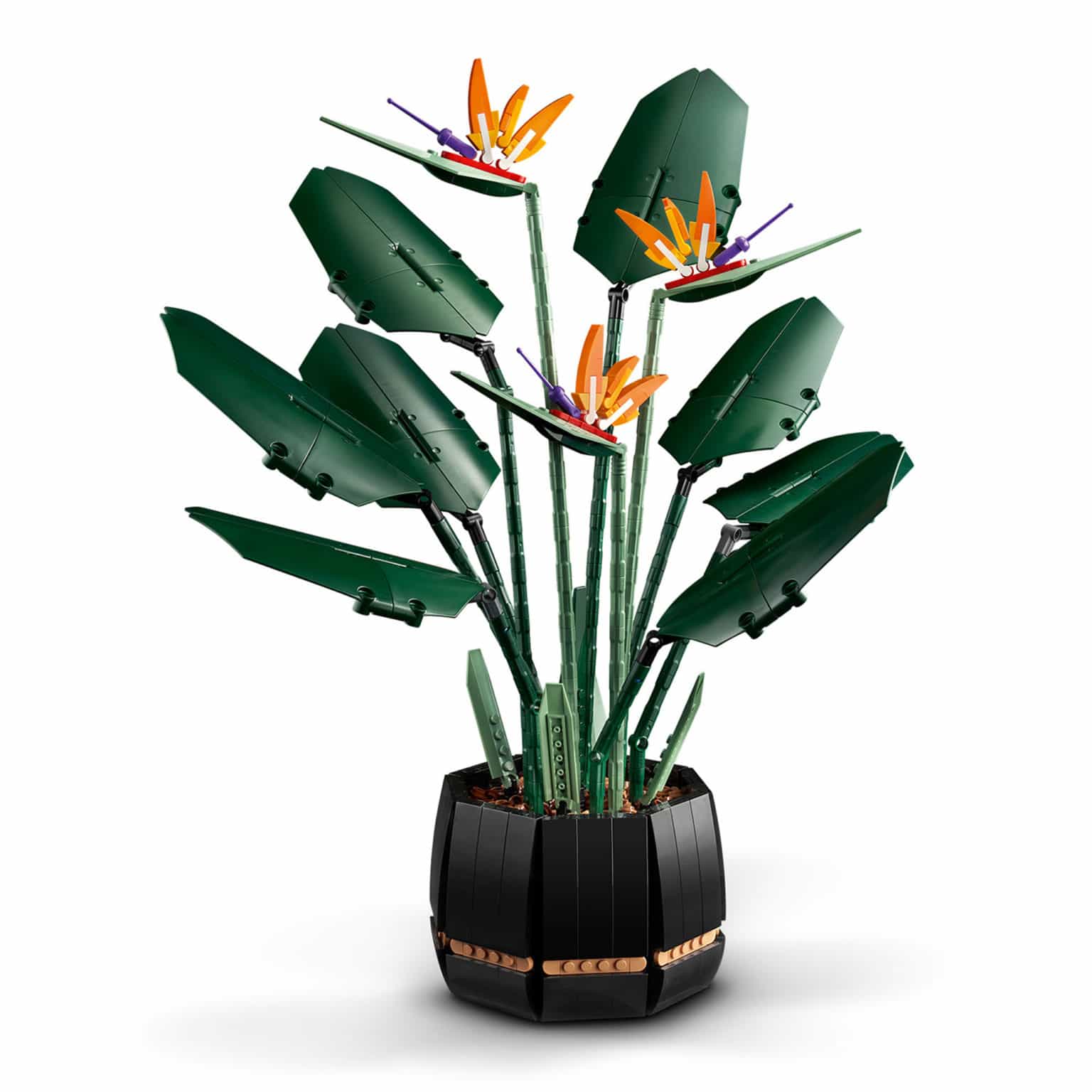 LEGO 10289 Bird of Paradise als Zuwachs für die Botanical Collection