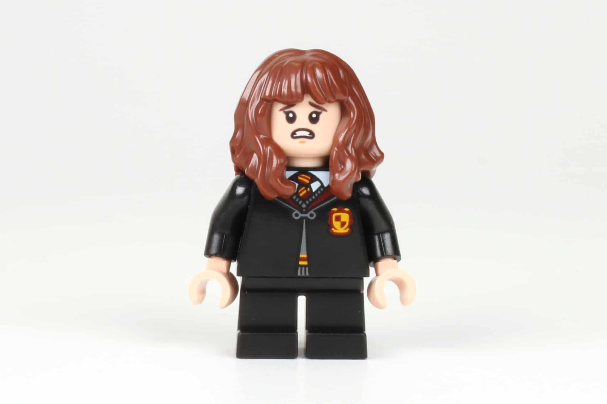 LEGO Harry Potter 76387 Hogwarts Begegnung Mit Fluffy Minifiguren 1 1