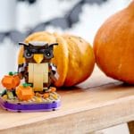 LEGO Seasonal 40497 Halloween Eule 4