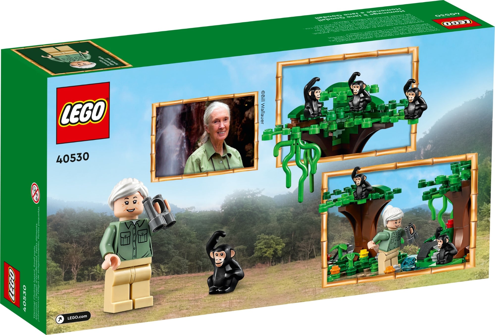 LEGO 40530 Hommage An Jane Goodall (2)