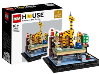 LEGO House 40503 Dagny Holm Titelbild