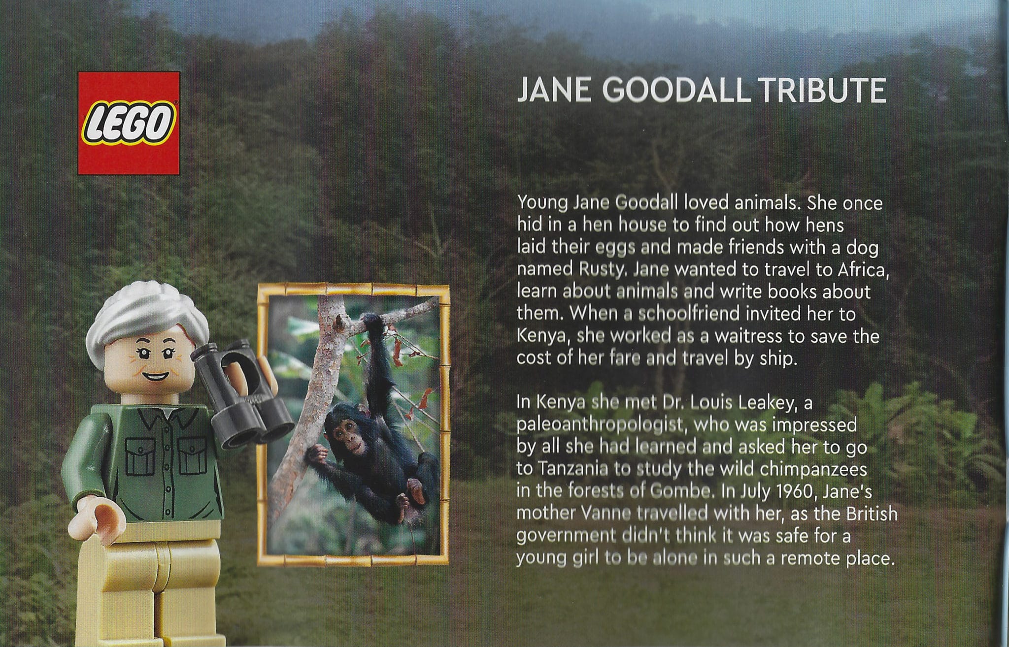 LEGO Jane Goodall Anleitung (1)