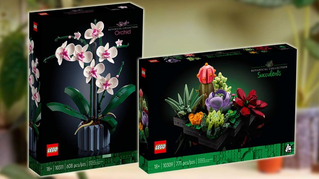 LEGO 10311 Orchidee 10309 Sukkulenten Titelbild LEGO 10311 Orchidee 10309 Sukkulenten Titelbild
