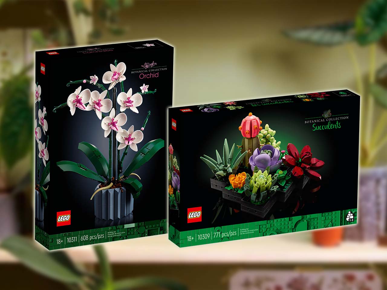 LEGO Botanical Collection Orchidee (10311) und Sukkulenten (10309)  offiziell vorgestellt