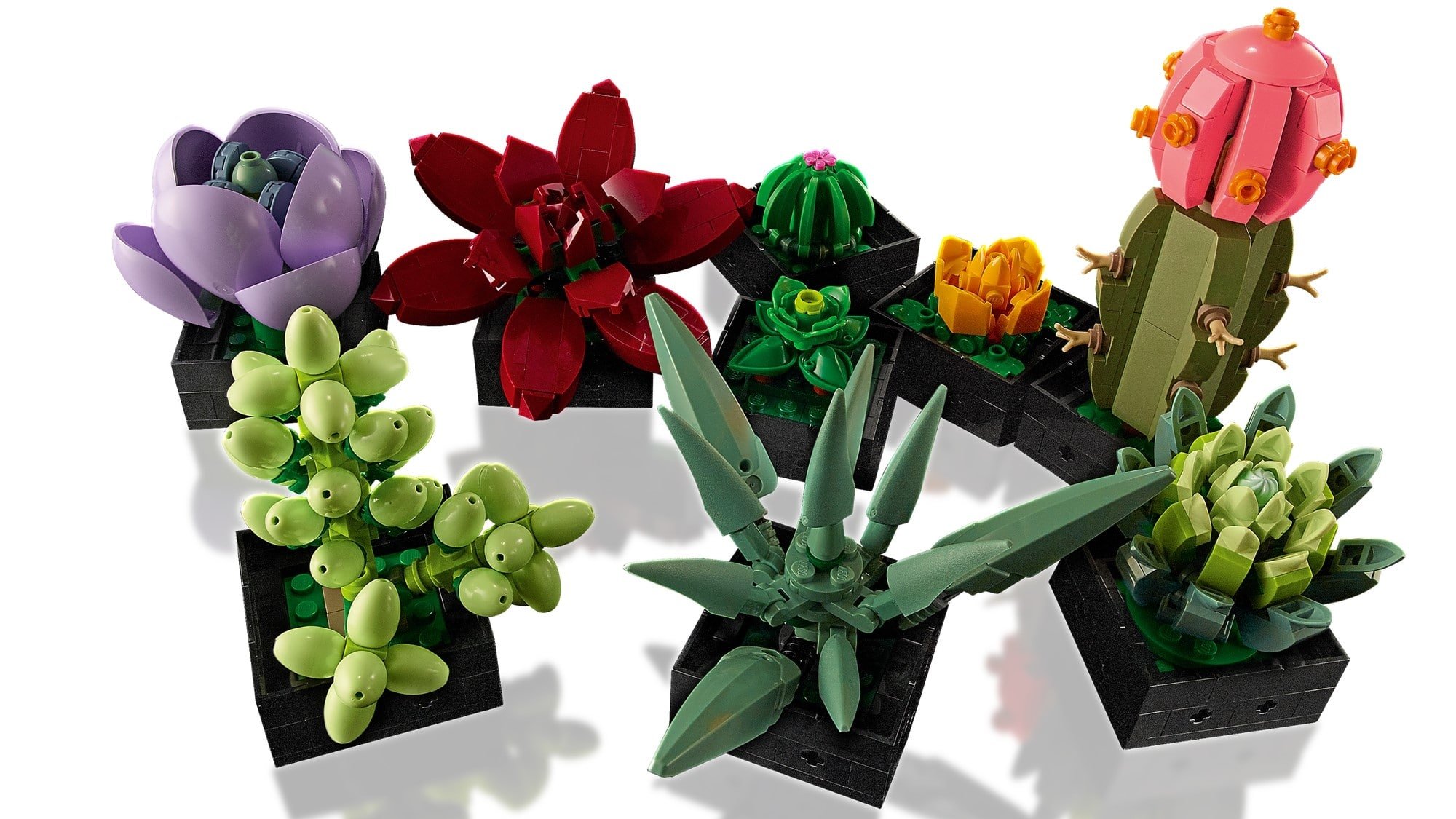 LEGO Creator Expert 10309 Succulents (5)