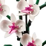 LEGO Creator Expert 10311 Orchidee 4
