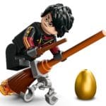 LEGO Harry Potter 76406 Ungarischer Hornschwanz 5