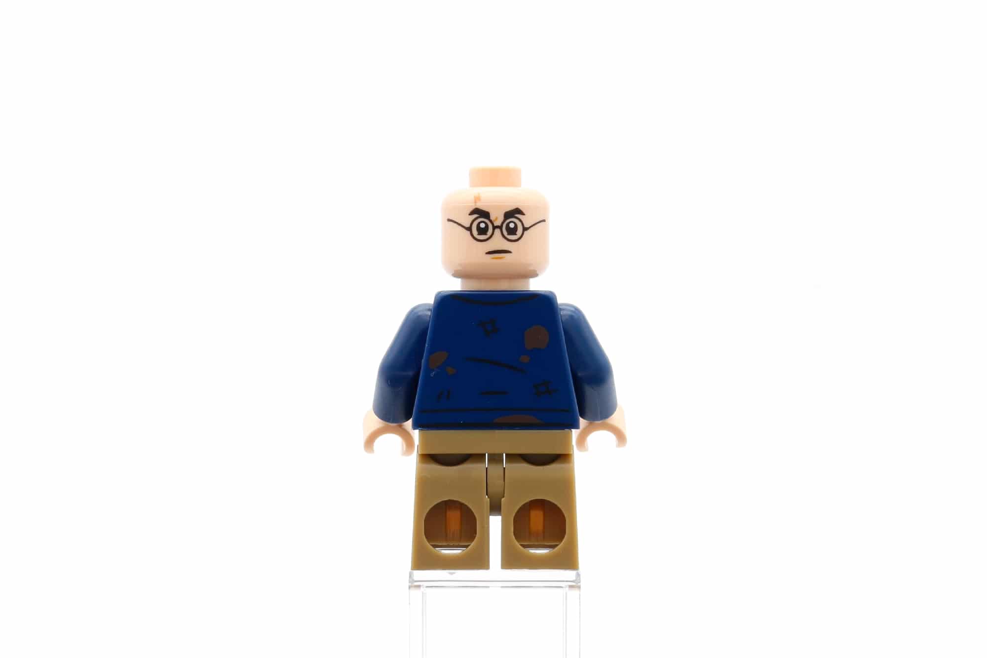 LEGO Harry Potter 76407 Heulende Hütte Und Peitschende Weide 14