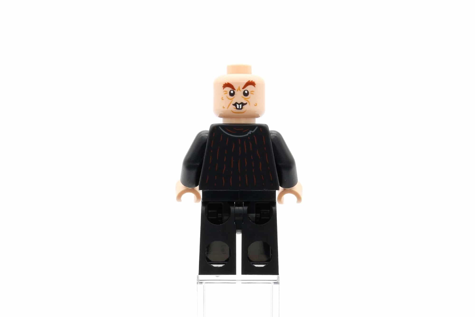 LEGO Harry Potter 76407 Heulende Hütte Und Peitschende Weide 25 LEGO Harry Potter 76407 Heulende Hütte Und Peitschende Weide 25