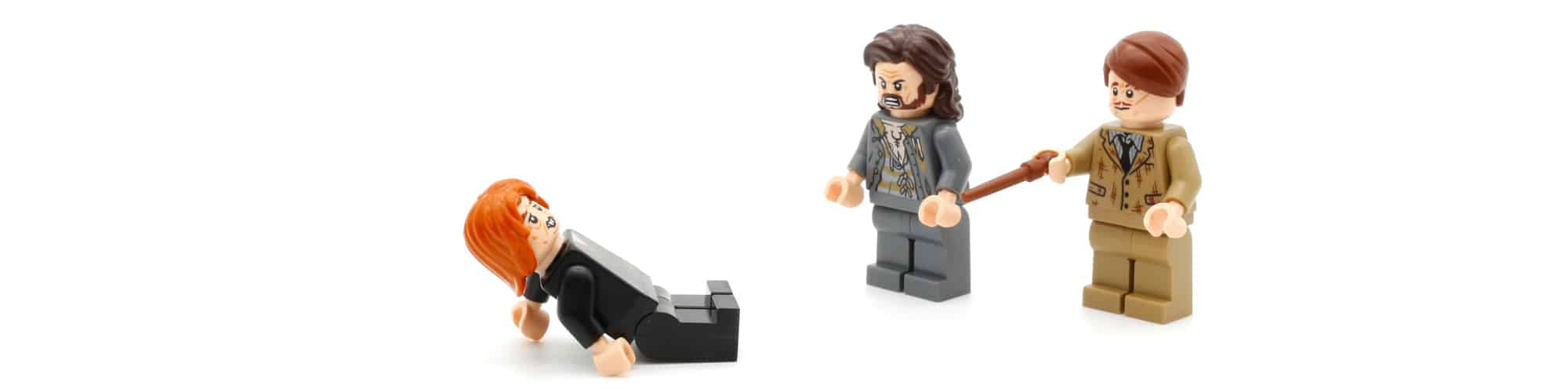LEGO Harry Potter 76407 Heulende Hütte Und Peitschende Weide 36