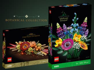 LEGO Botanical Collection 2023 10313 10314