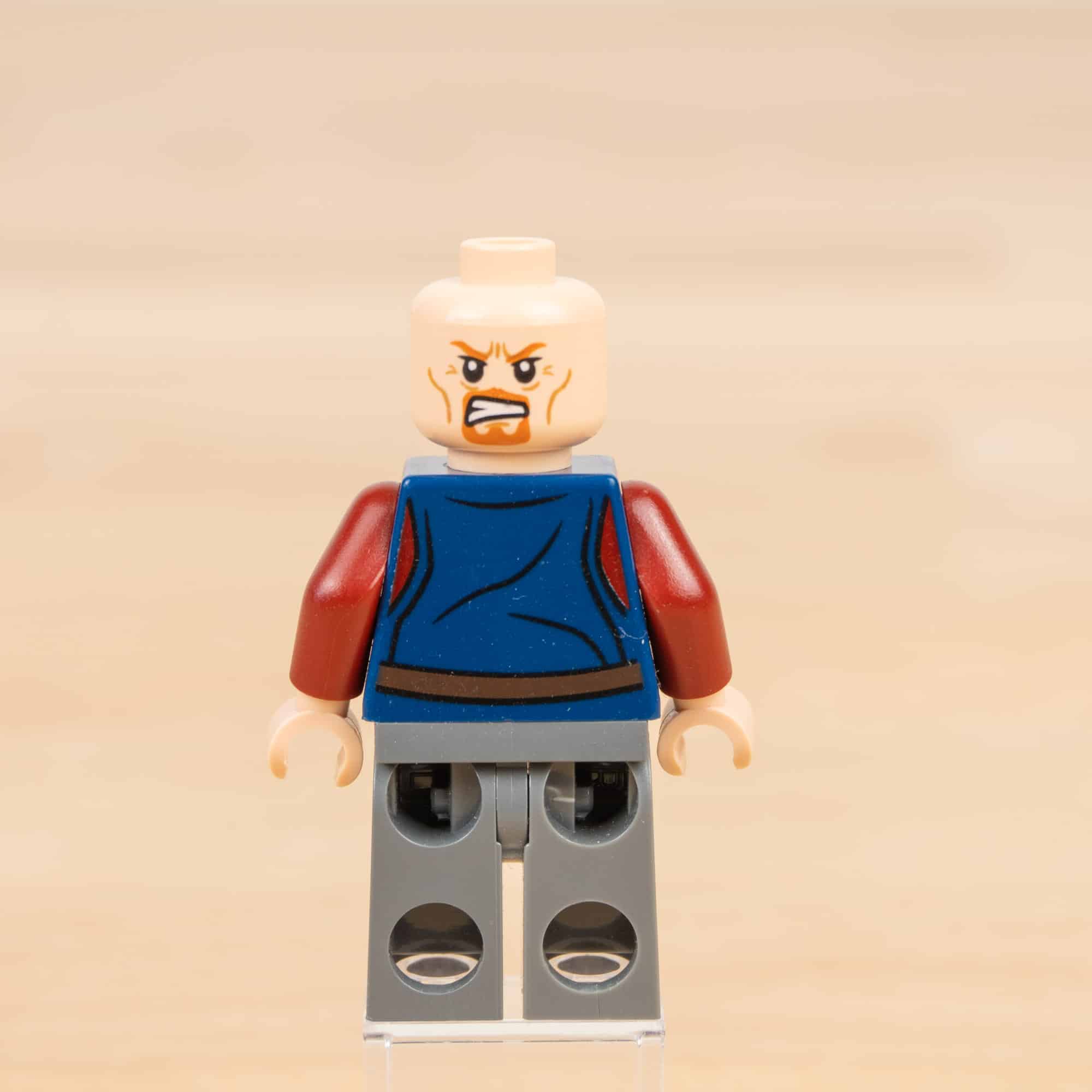 LEGO 10316 Bruchtal Review Minifiguren 109