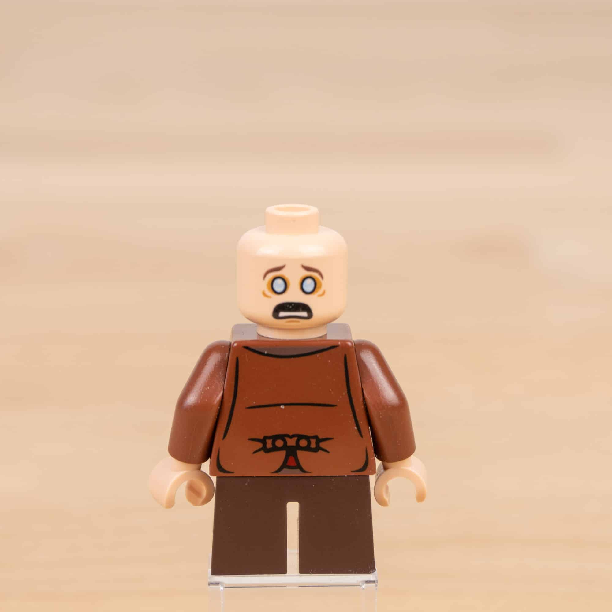 LEGO 10316 Bruchtal Review Minifiguren 81