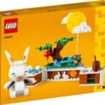 LEGO Other 40643 Jadehase 3