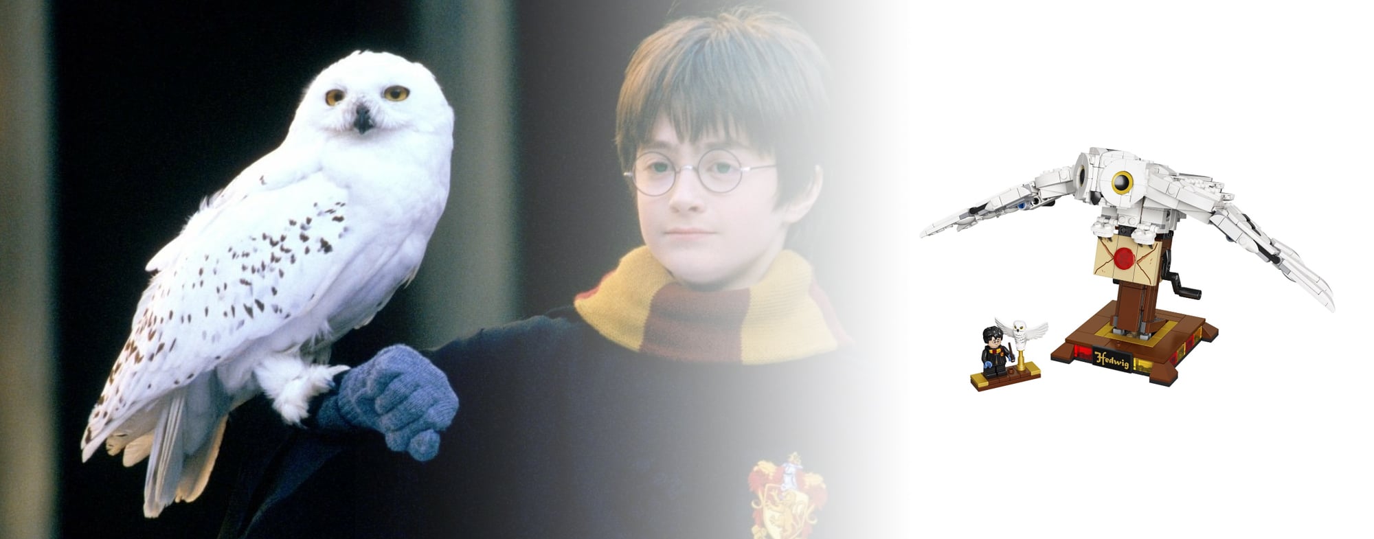 LEGO Harry Potter 2024 Neuheiten Geruechte Hedwig