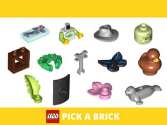 LEGO Pick a Brick: Der Einzelteile-Service von LEGO: Anleitung + Tipps