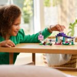 LEGO 21253 4