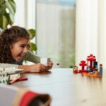 LEGO 21255 2