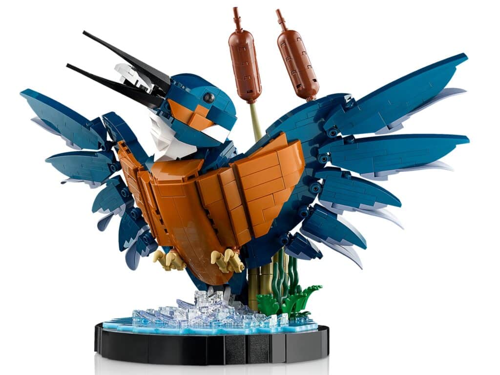 LEGO Icons 10331 Eisvogel 4