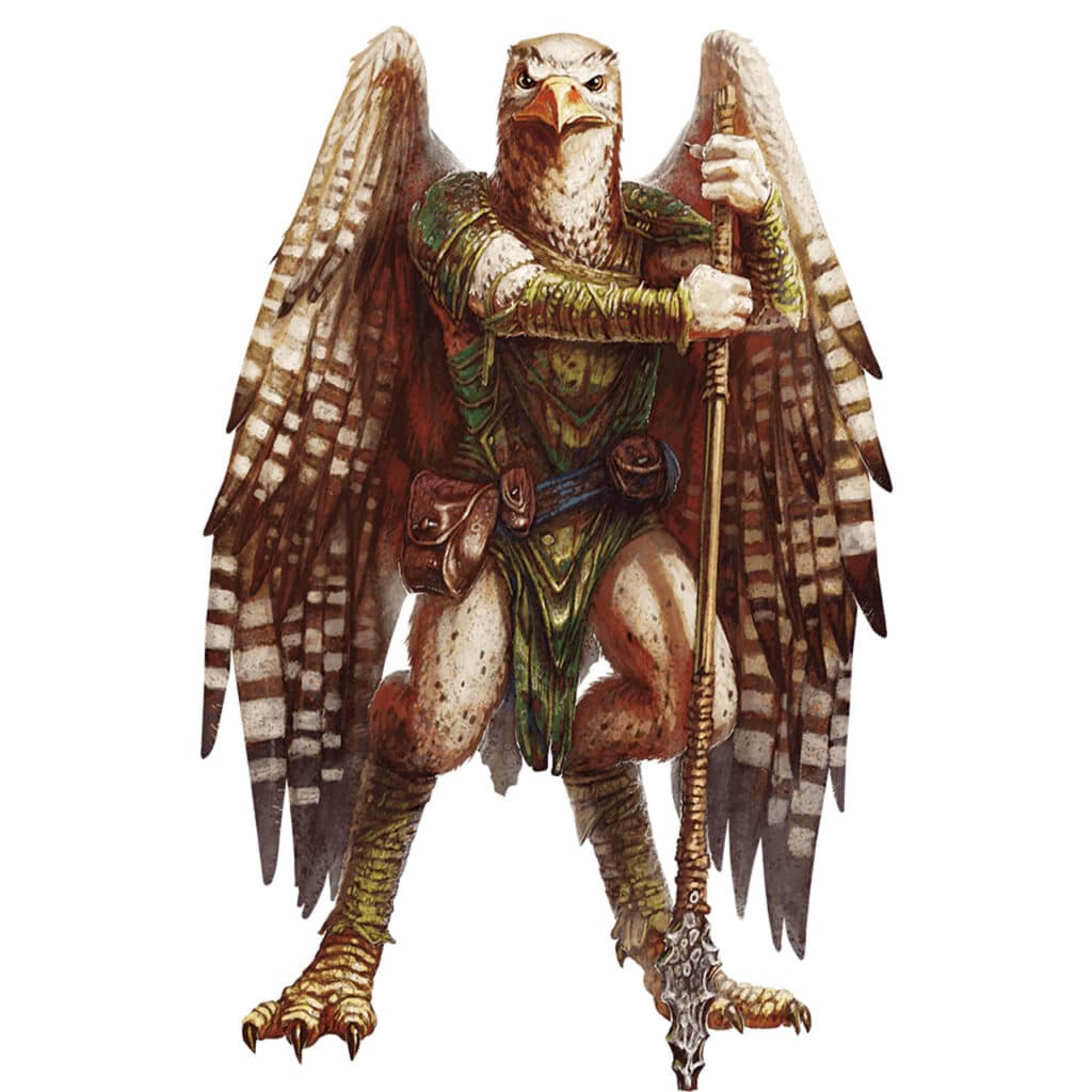 Dungeons Dragons Aarakocra