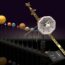 LEGO Ideas Loneiness Voyager (1)
