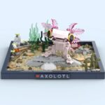 Ideas Challenge Pets In Play Fanvoting (2)