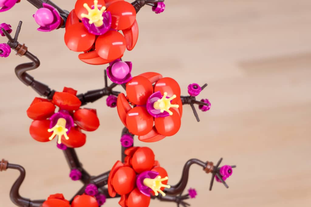 Legi Botanical Review 10368 10369 20