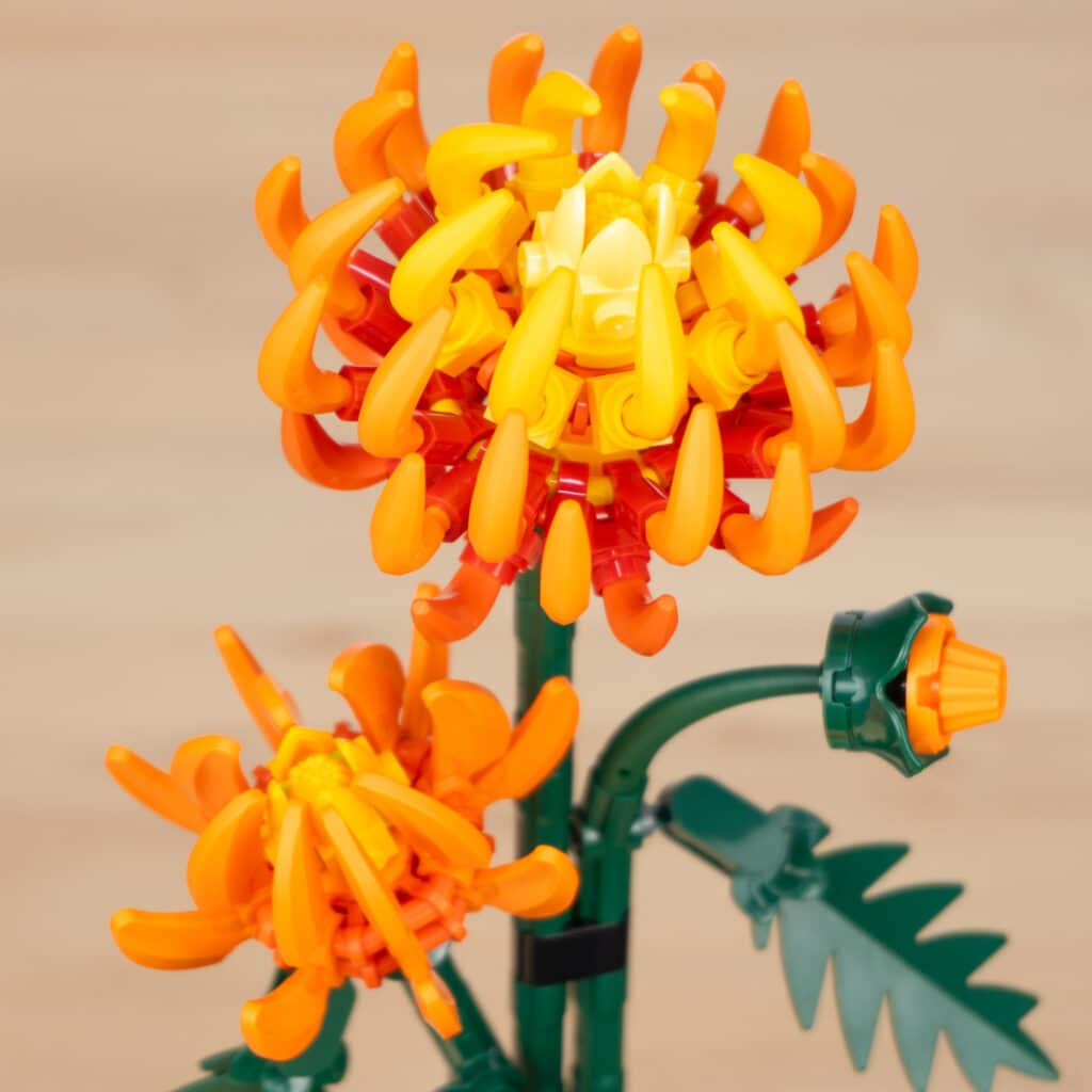 Legi Botanical Review 10368 10369 29