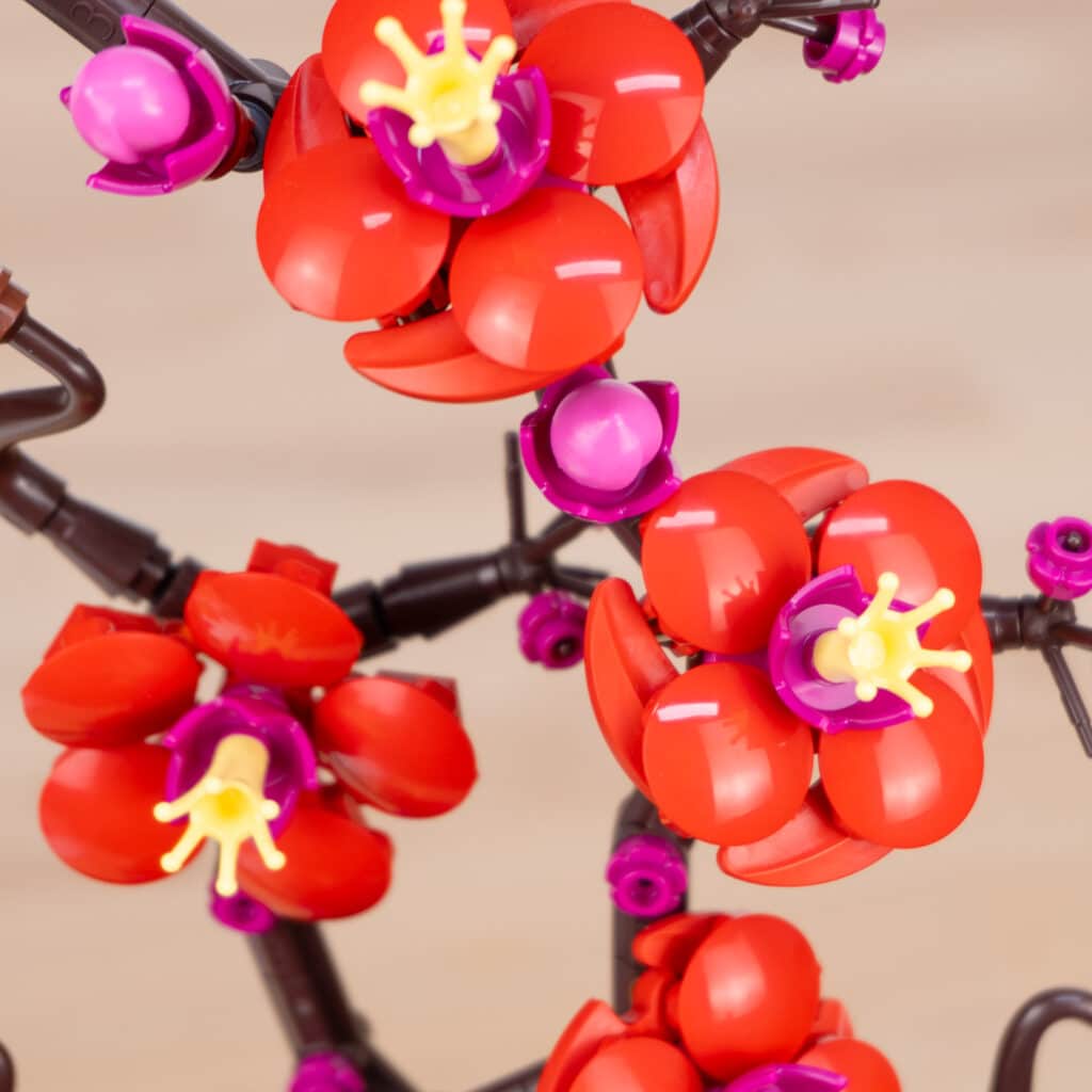 Legi Botanical Review 10368 10369 30