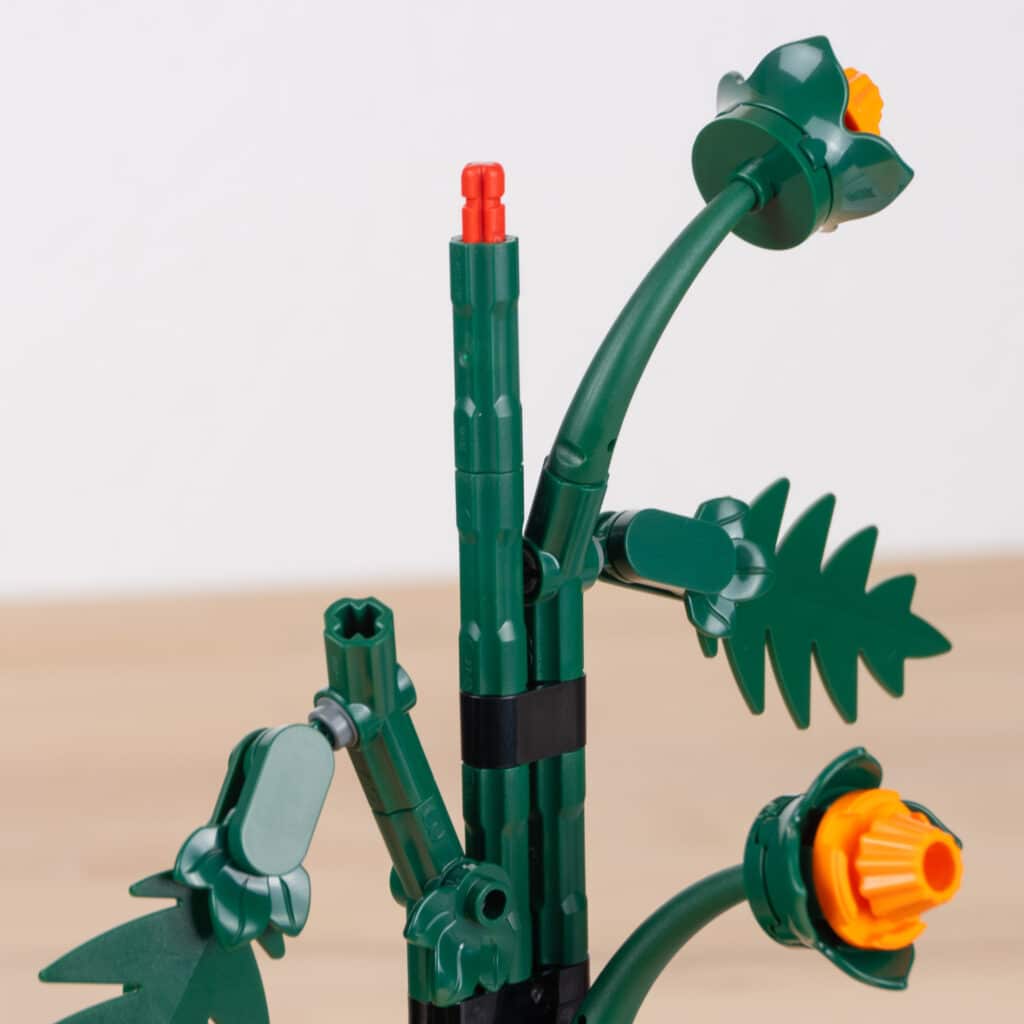 Legi Botanical Review 10368 10369 6