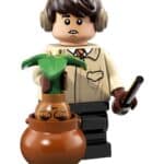 LEGO 71022 Harry Potter Minifiguren Serie (12)