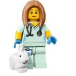 LEGO 71018 Minifiguren Sammelserie 17 (6)