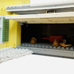 LEGO Ideas National Lampoons Christmas Vacation (15)