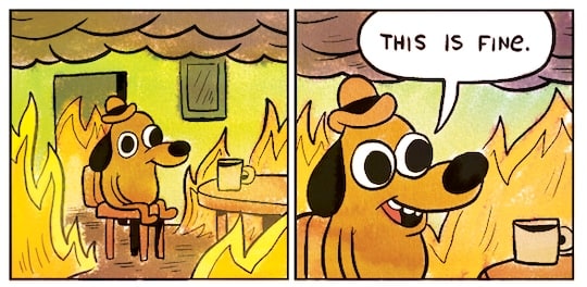 This Is Fine Meme Kc Green
